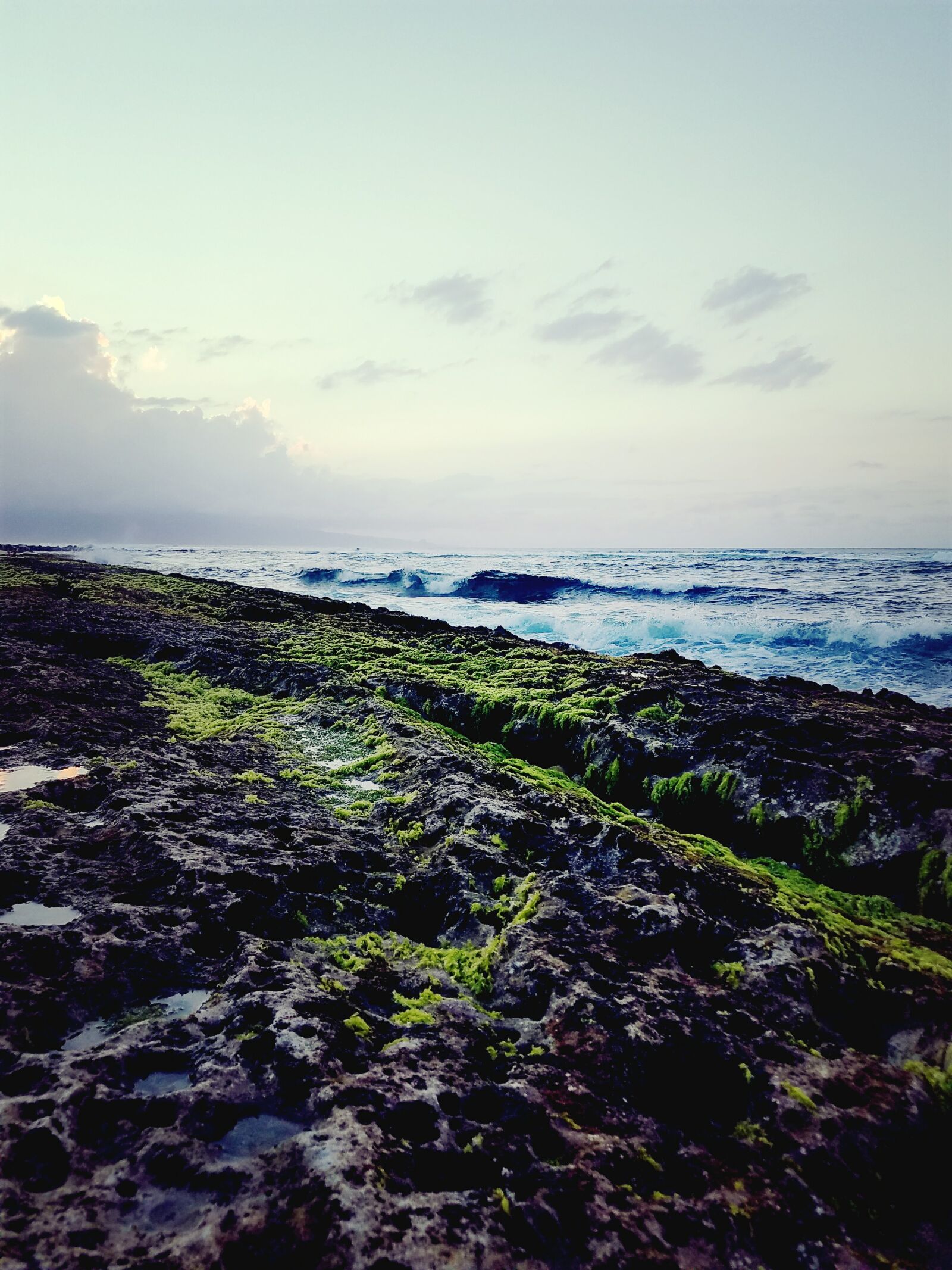 Samsung Galaxy S7 Edge sample photo. Algae, coast, line, hawaii photography