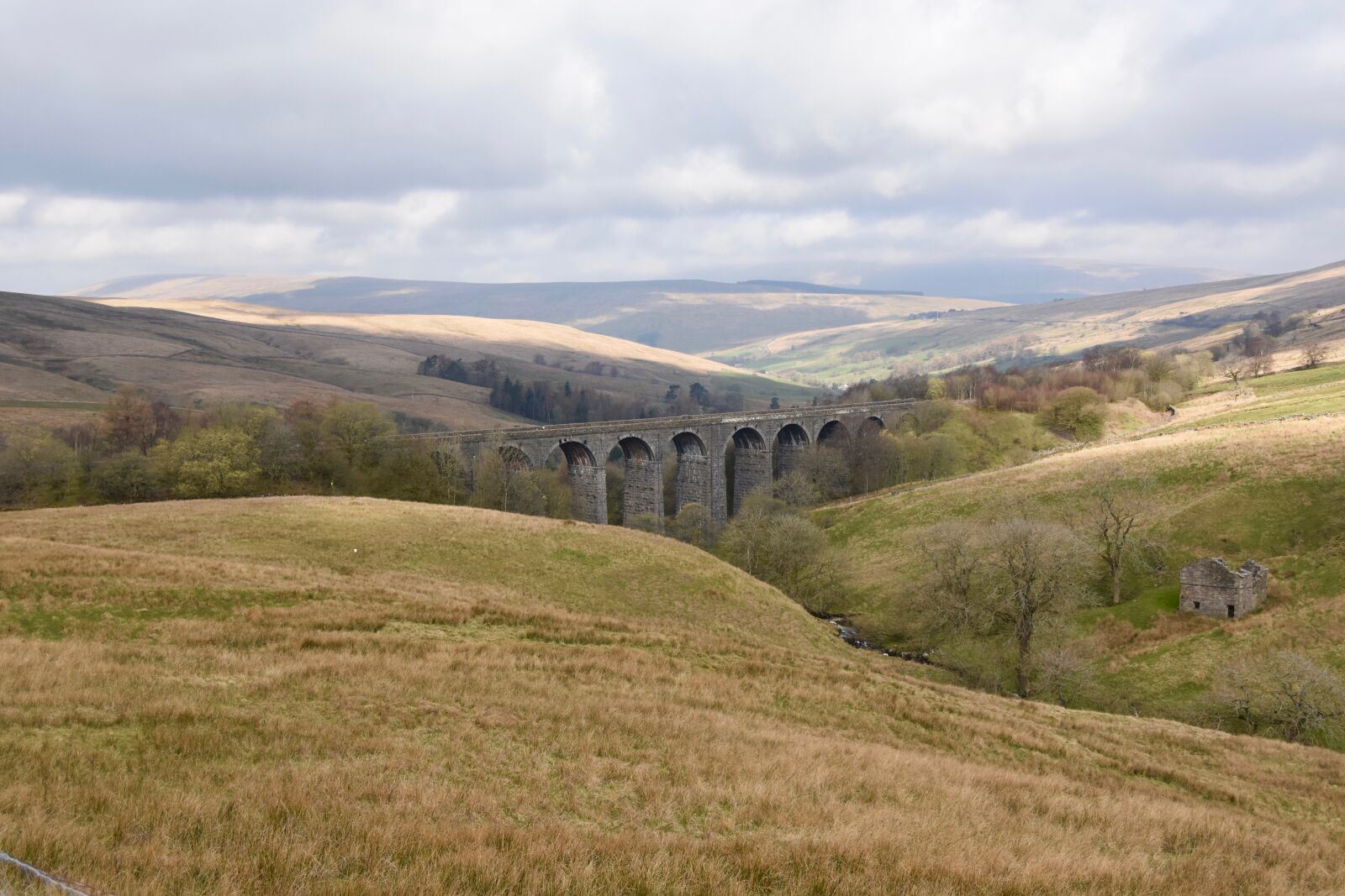 Nikon D5600 sample photo. Yorkshire, english countryside, england photography