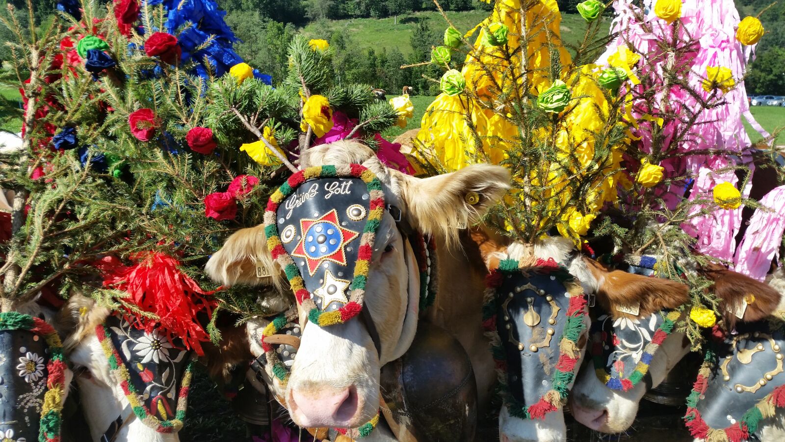 Samsung Galaxy S5 sample photo. Austria, tirol, alps photography