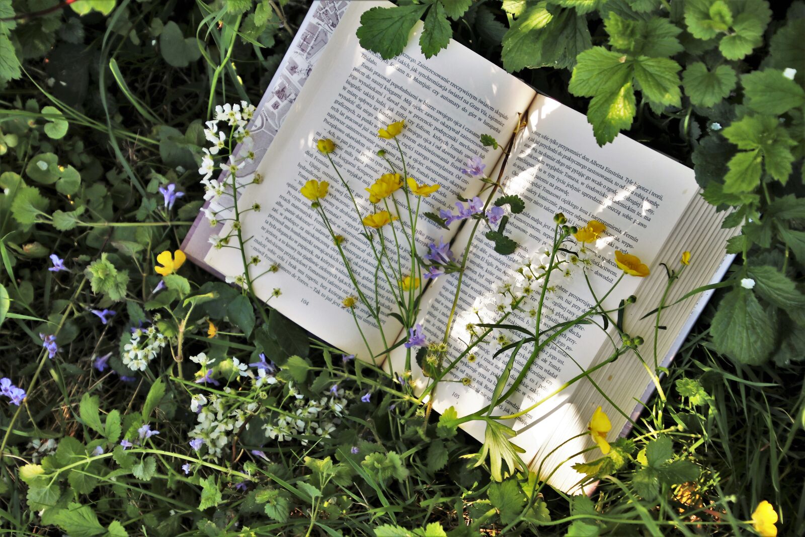Canon EOS 80D sample photo. Reading, plant, nature photography