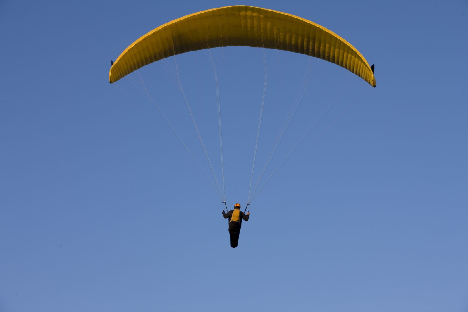 Canon EOS-1Ds Mark III sample photo. Paraglider, paragliding, flying photography