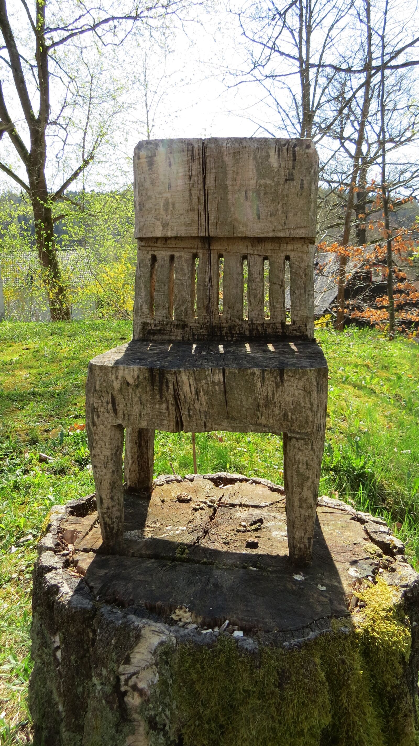 Canon PowerShot SX50 HS sample photo. Wood, old, nature photography