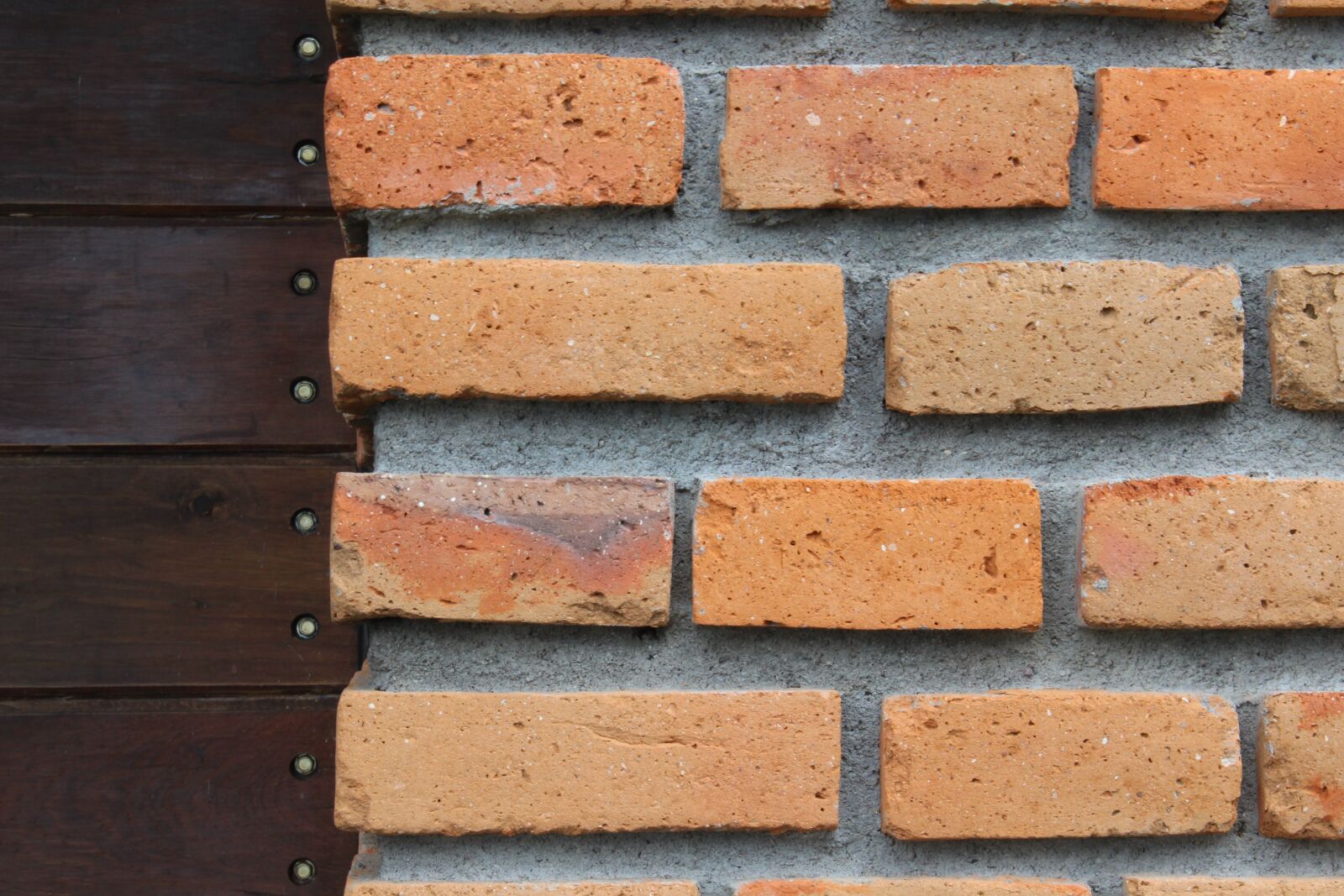 Canon EOS 600D (Rebel EOS T3i / EOS Kiss X5) sample photo. Texture, septum, wood photography