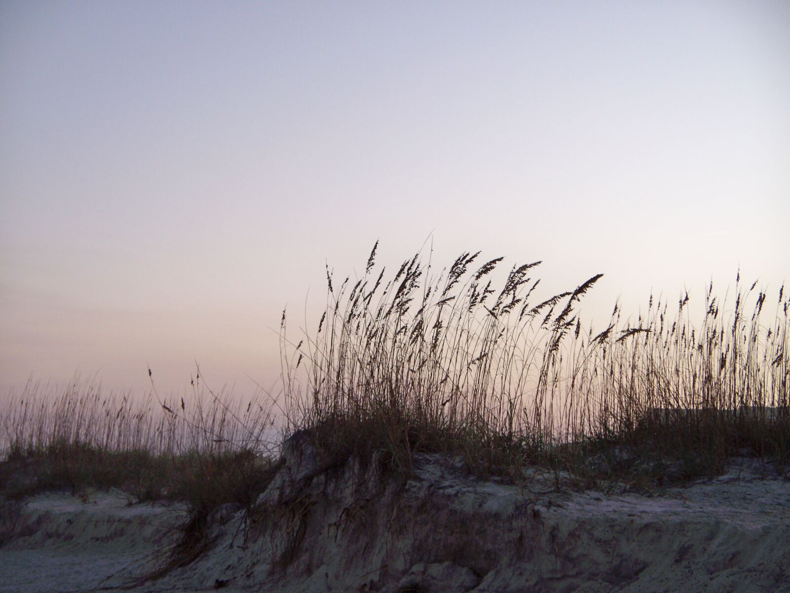 Kodak EASYSHARE Z1485 IS DIGITAL CAMERA sample photo. Beach, nature, outdoors photography
