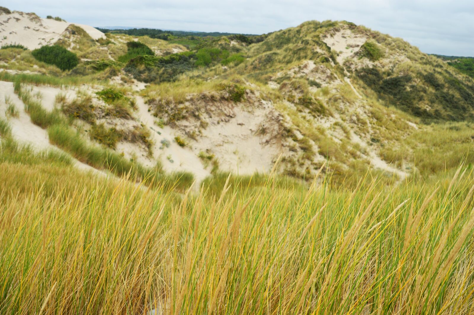 Nikon D3200 sample photo. Sea, beach, stella beach photography