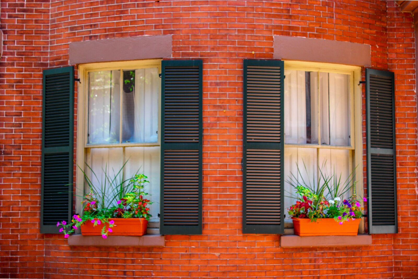 Canon EOS 600D (Rebel EOS T3i / EOS Kiss X5) sample photo. Window, brick, planter photography