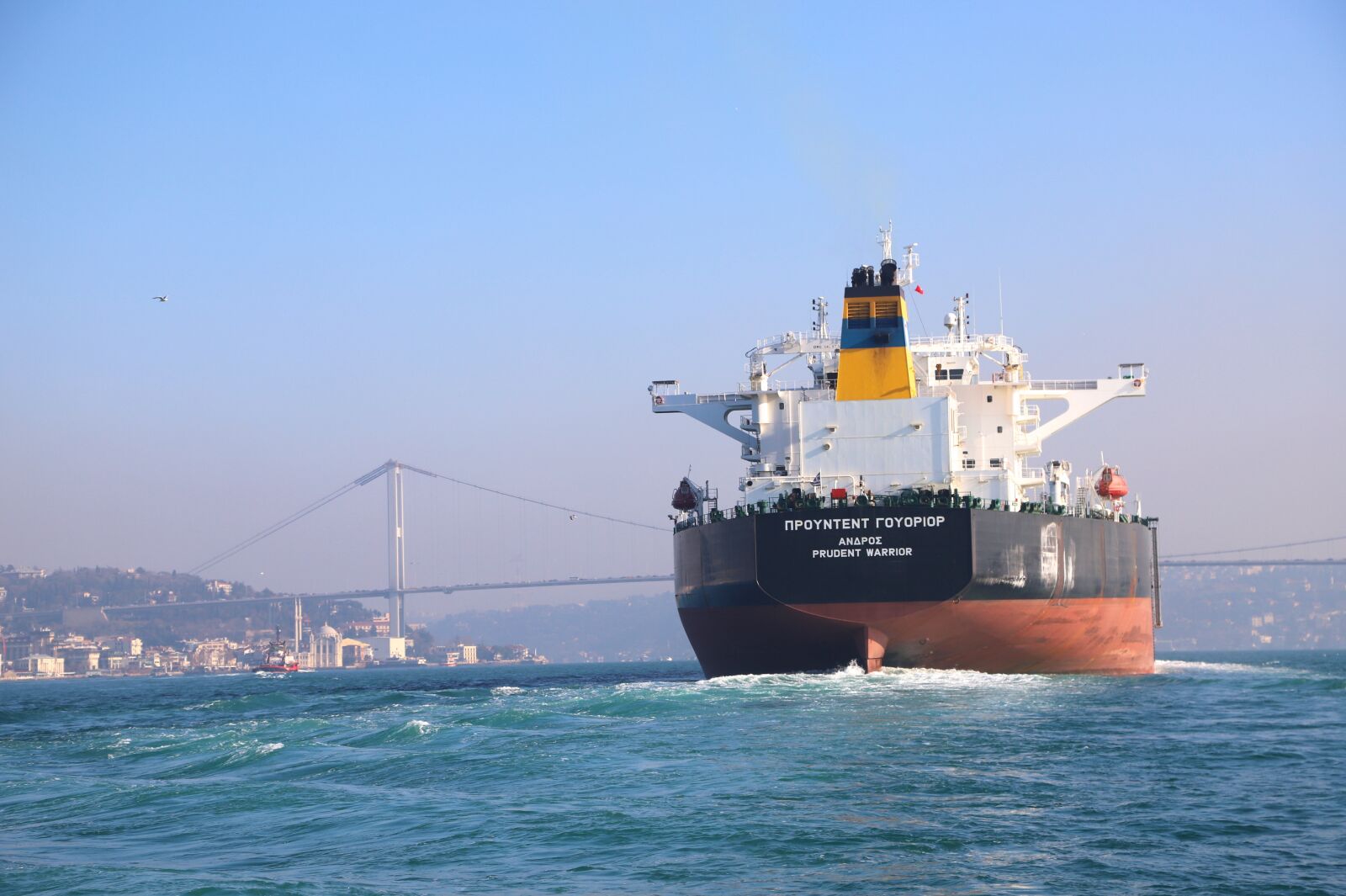 Canon EOS 6D Mark II sample photo. Istanbul, throat, ship photography