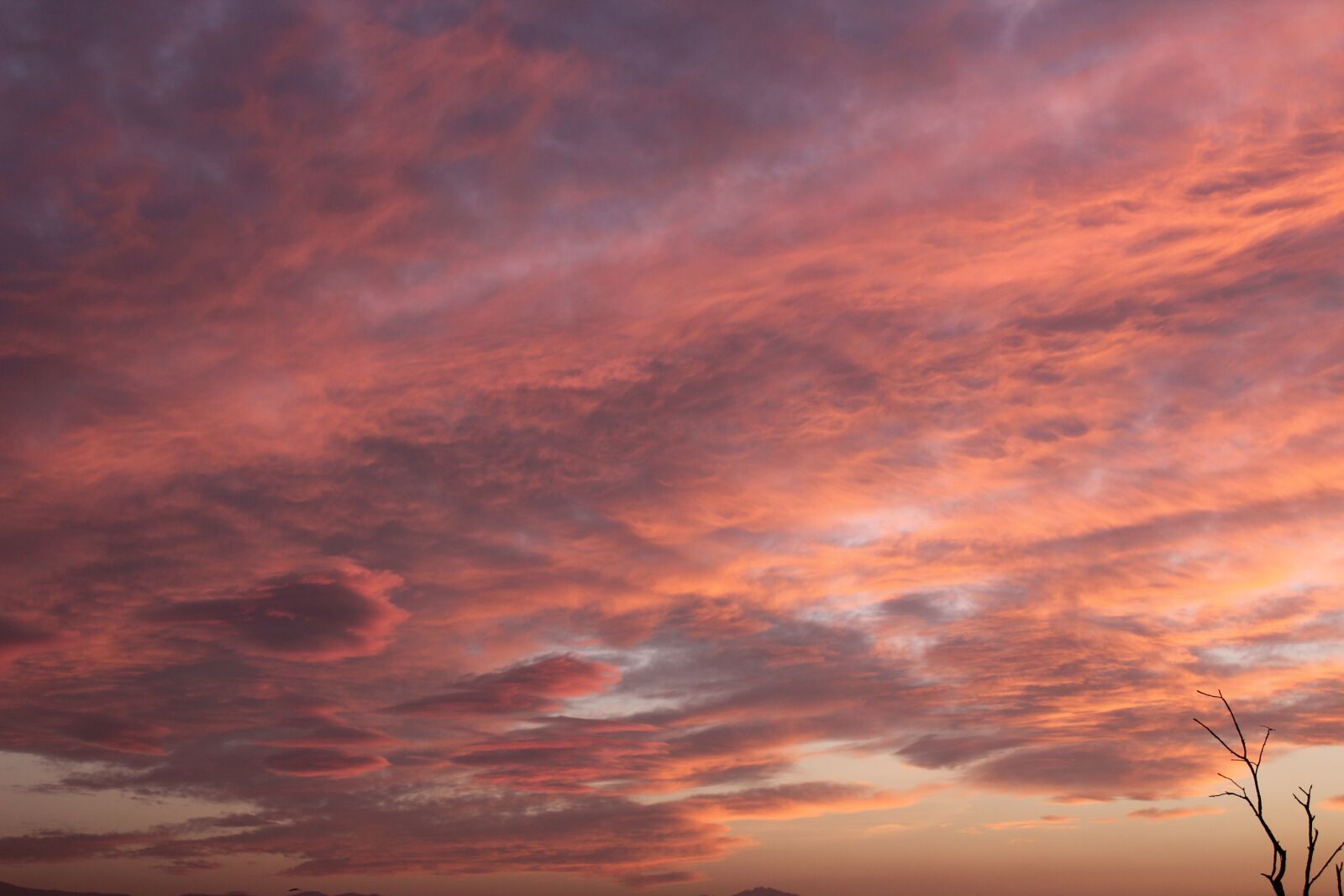 Canon EOS 1300D (EOS Rebel T6 / EOS Kiss X80) sample photo. Clouds, rosa, sky photography