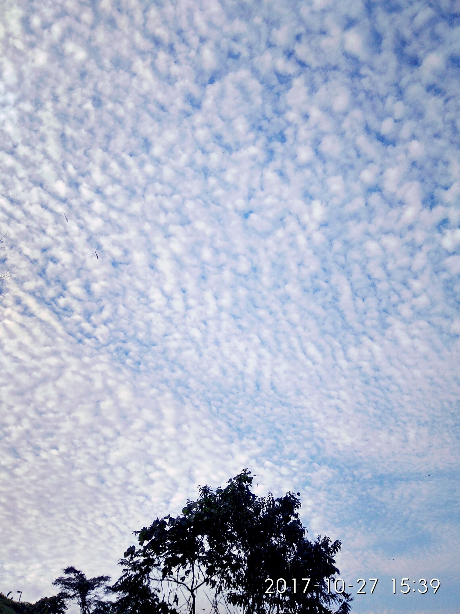 Xiaomi Redmi Note 4 sample photo
