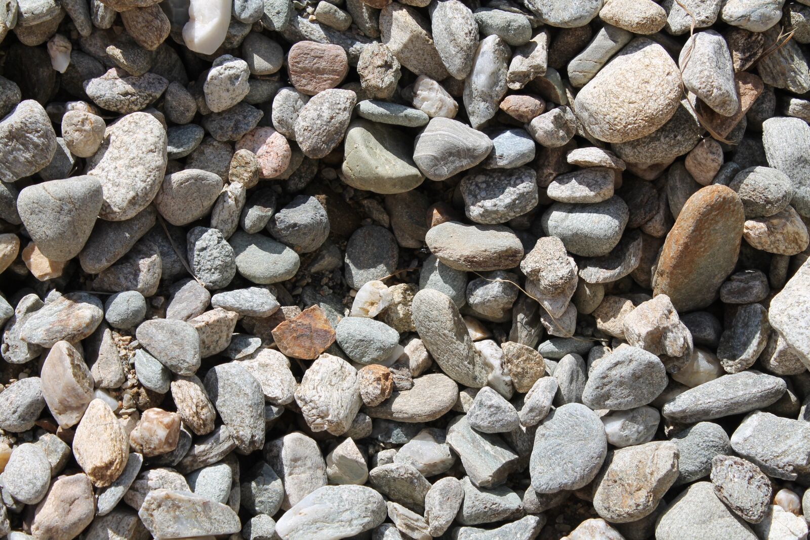 Canon EOS 1100D (EOS Rebel T3 / EOS Kiss X50) sample photo. Stones, background, grey photography