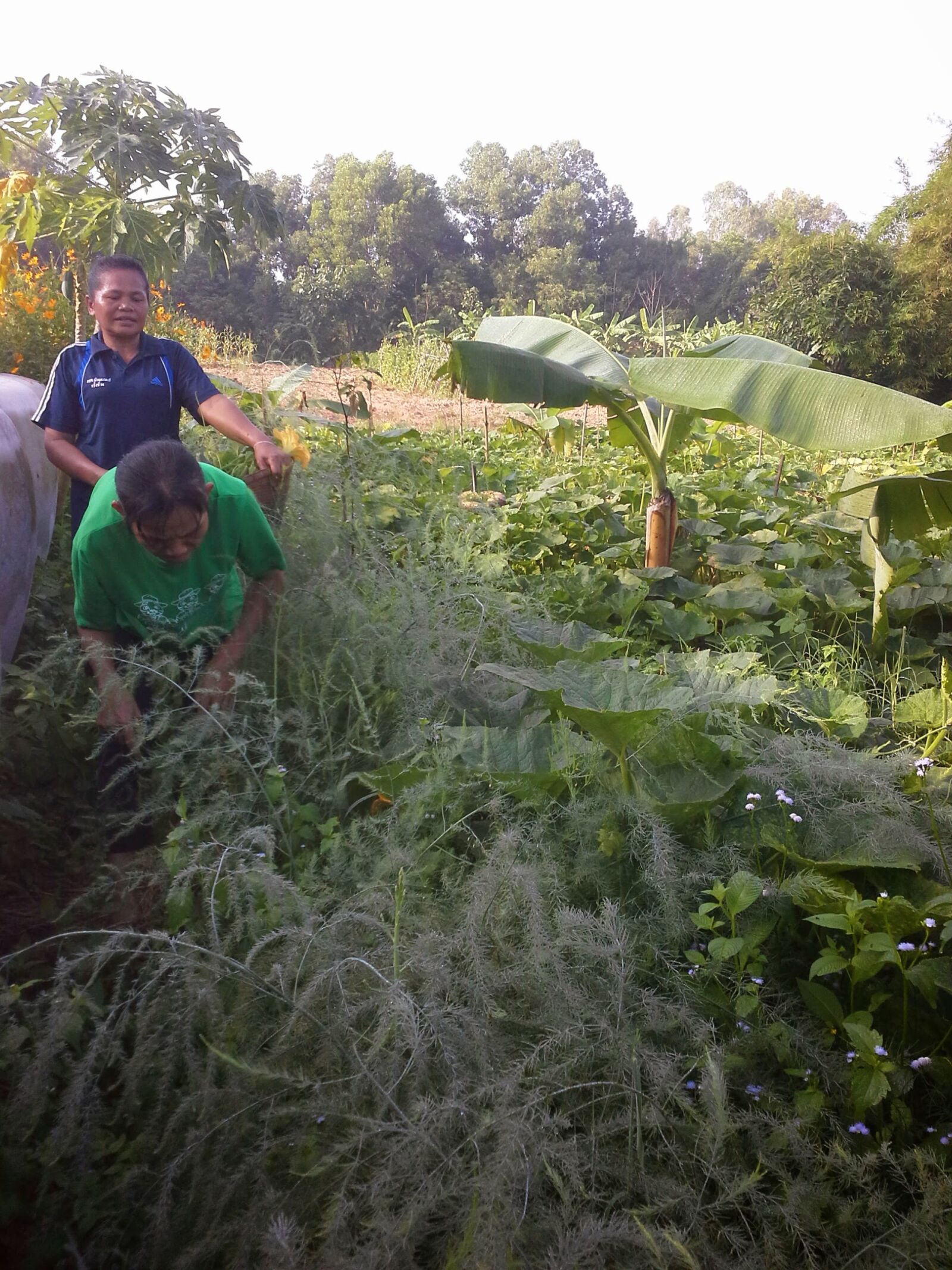 Samsung Galaxy Note 10.1 sample photo