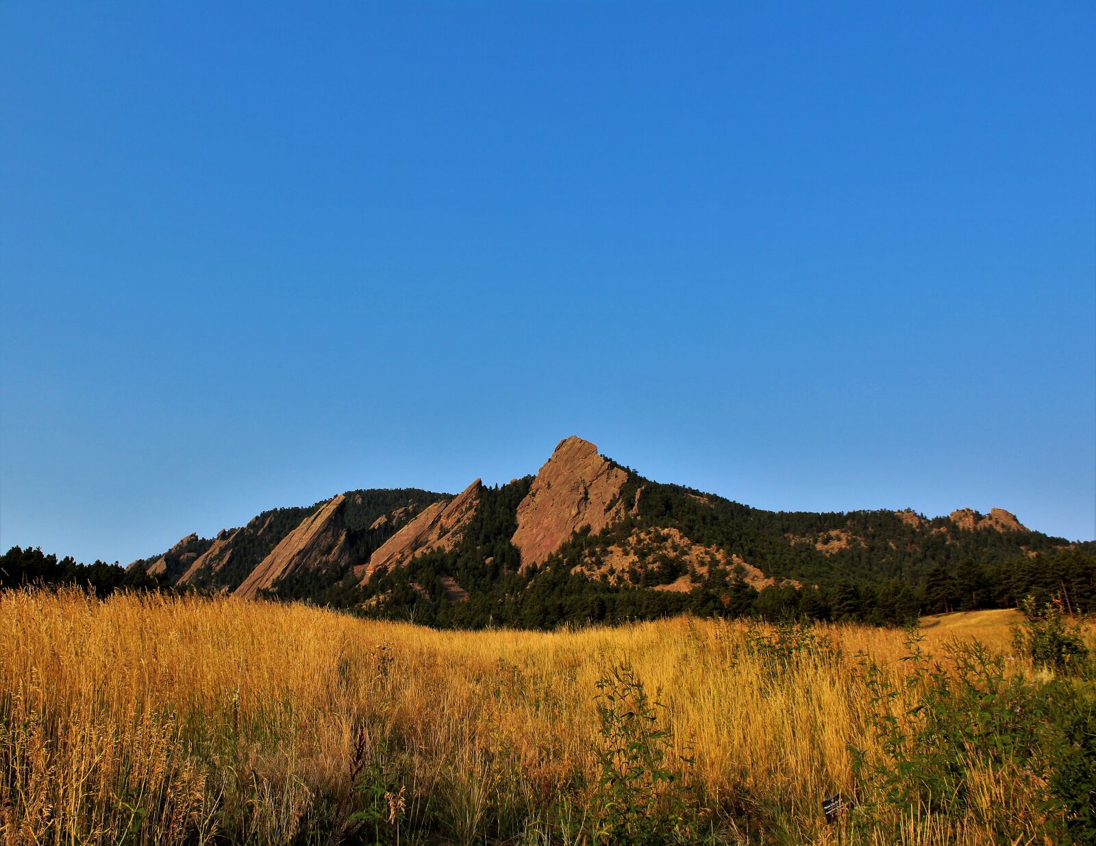 Canon EOS 1300D (EOS Rebel T6 / EOS Kiss X80) sample photo. Mountain, prairie, nature photography