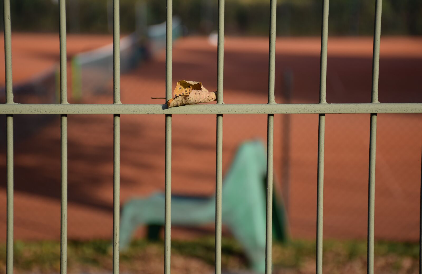 Nikon D5300 sample photo. Grid, chair, leaf photography