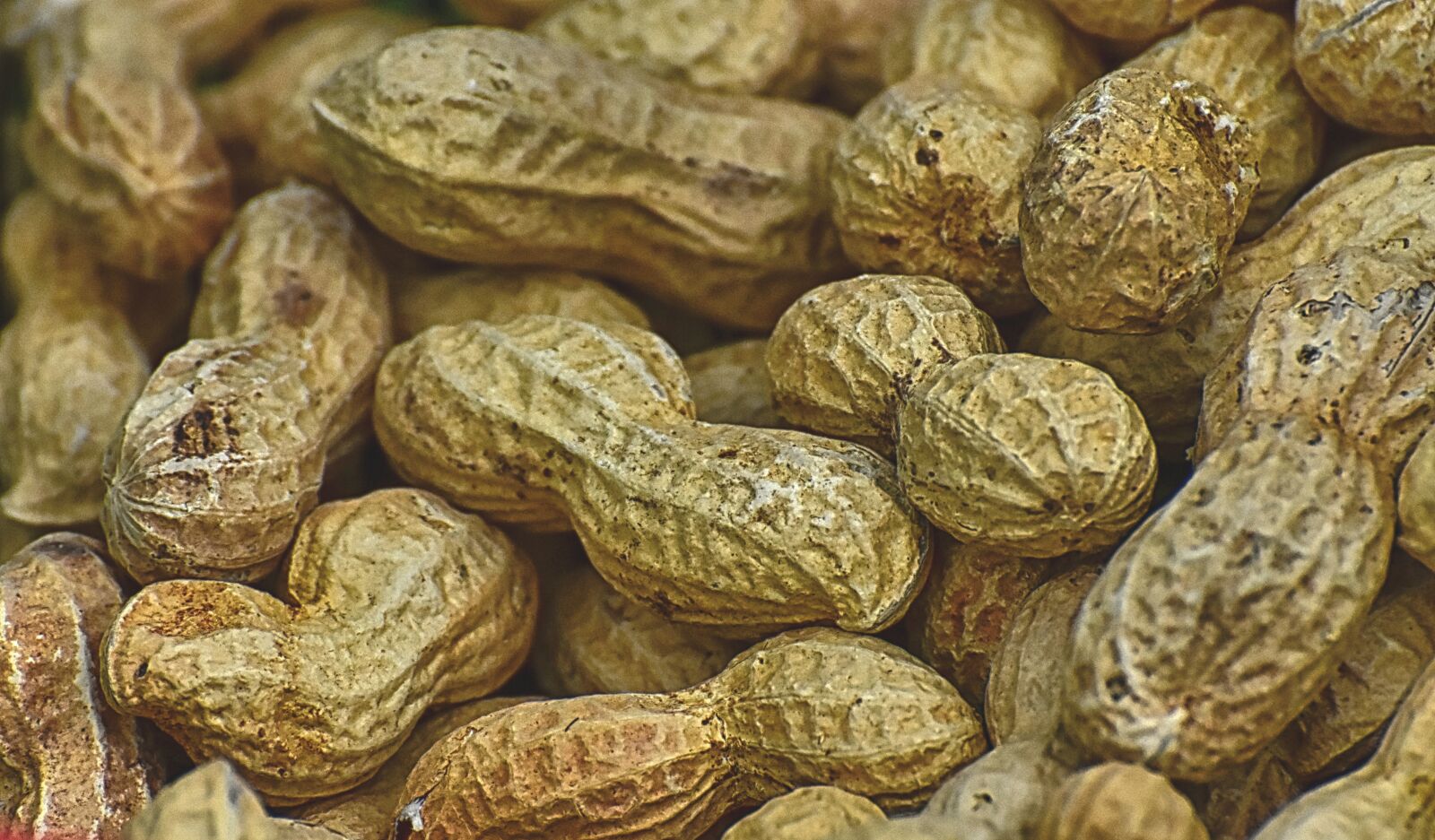 Nikon D7200 sample photo. Peanuts, shell, eat photography