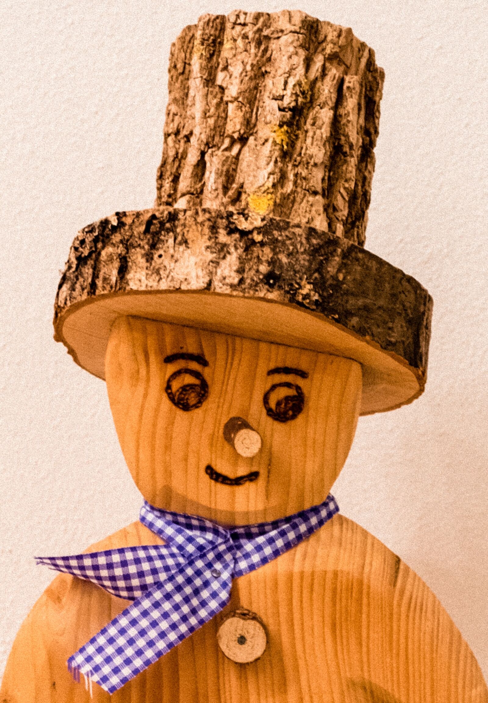 Fujifilm XF 16-55mm F2.8 R LM WR sample photo. Art, wood, figure photography