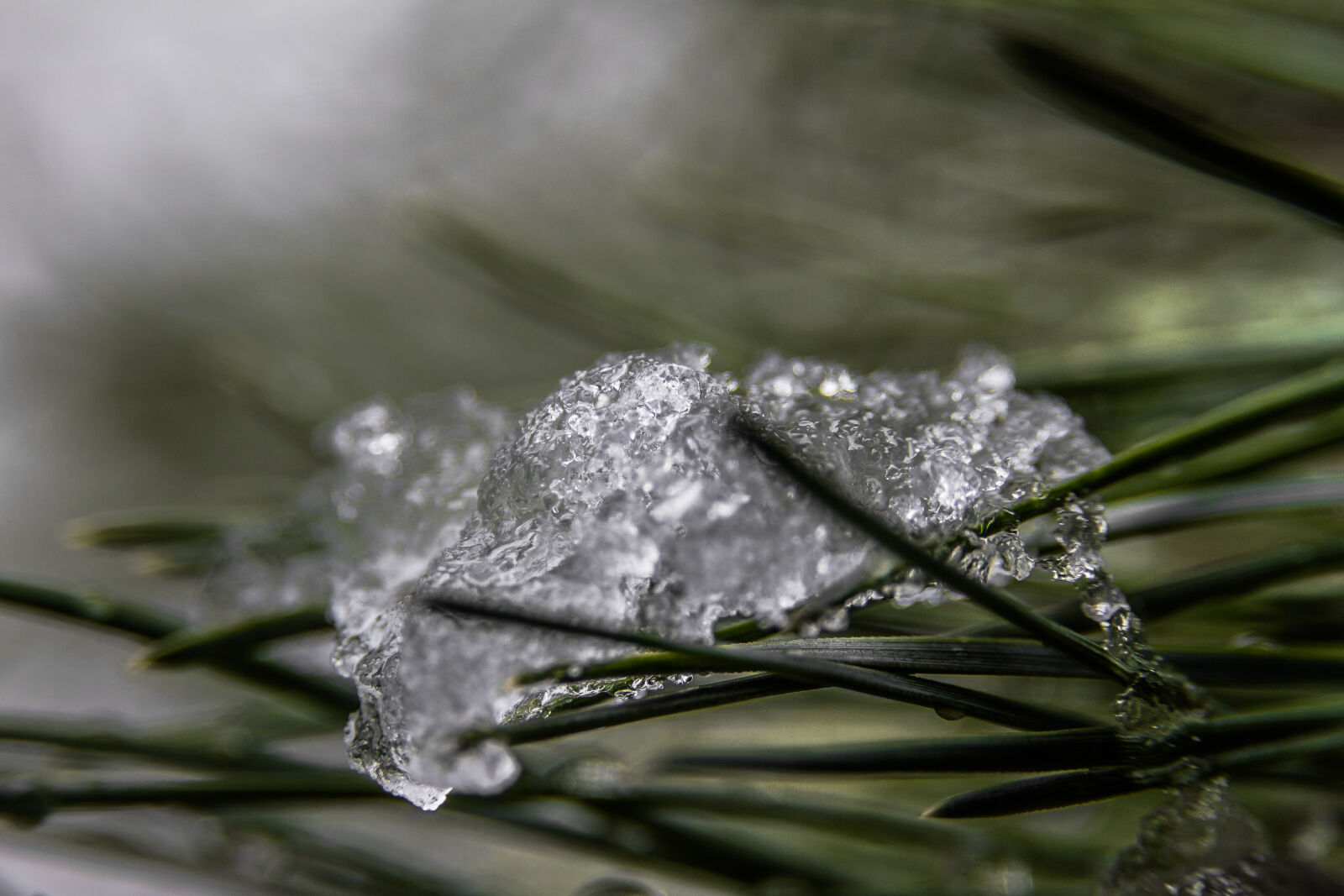Sigma 17-70mm F2.8-4 DC Macro OS HSM sample photo. Crystals, ice, pine, water photography