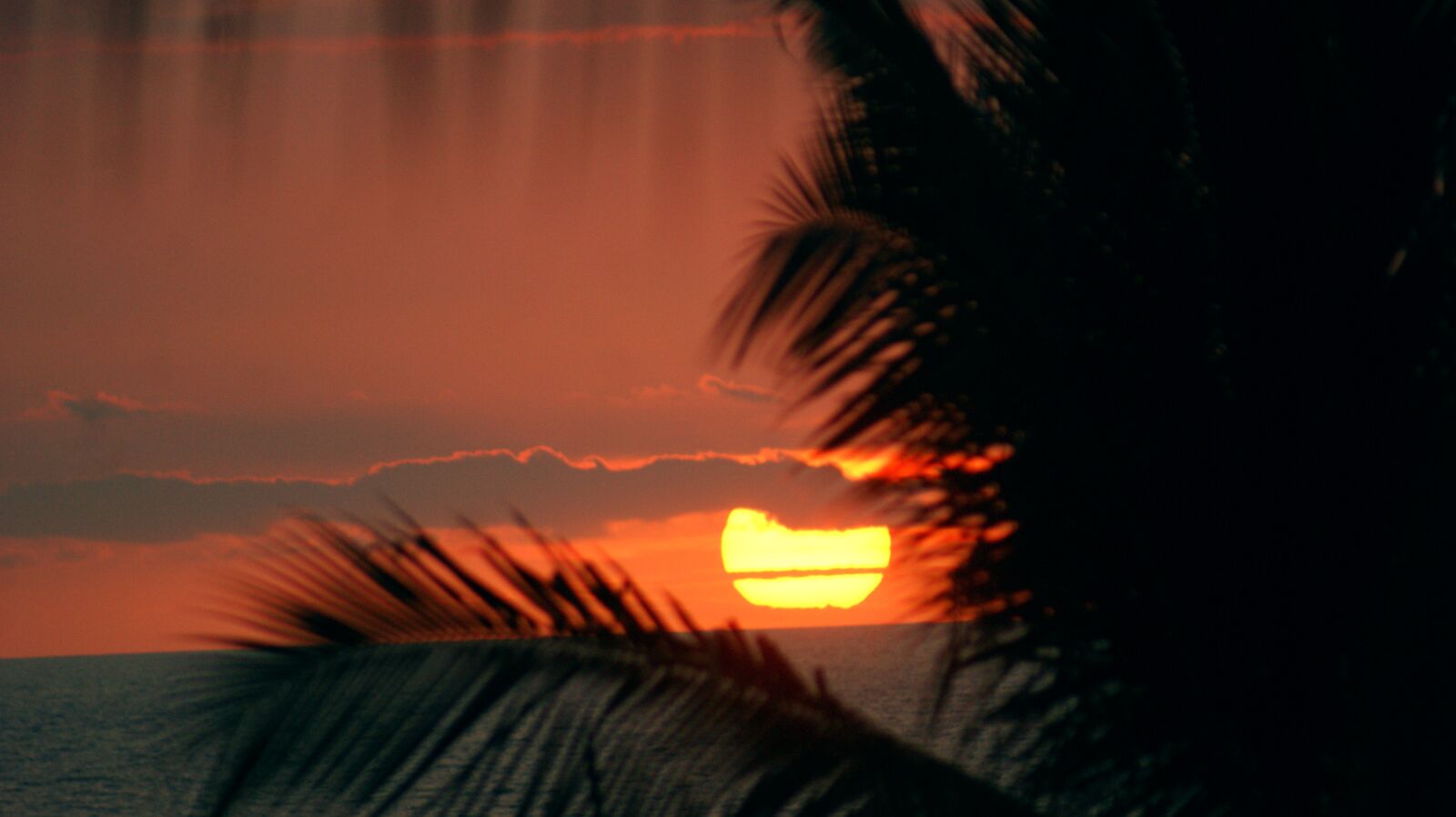 Sony Alpha DSLR-A350 sample photo. Sunset, life, hawaii photography