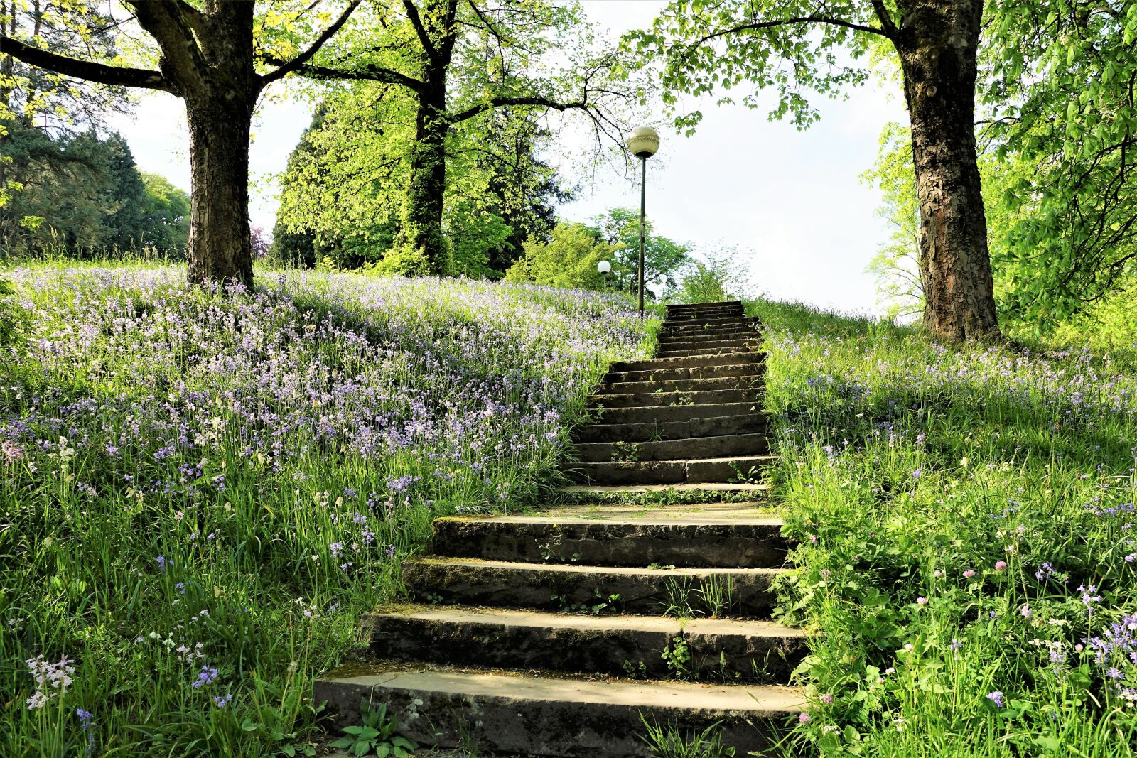 Sony ILCA-77M2 + Sony DT 16-50mm F2.8 SSM sample photo. Stairs, park, garden photography