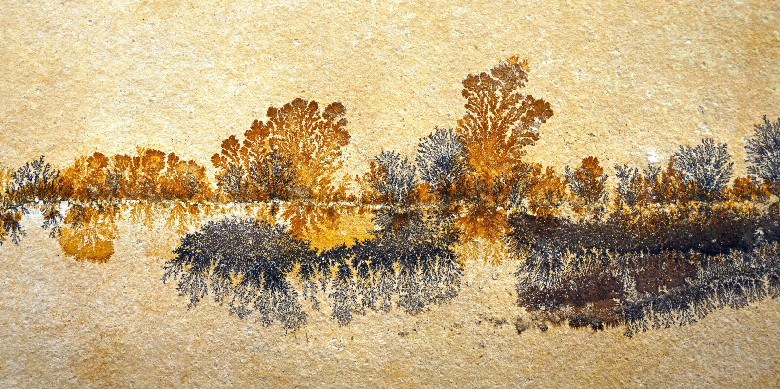 Sony a6000 sample photo. Stone, fossil, dendrites photography