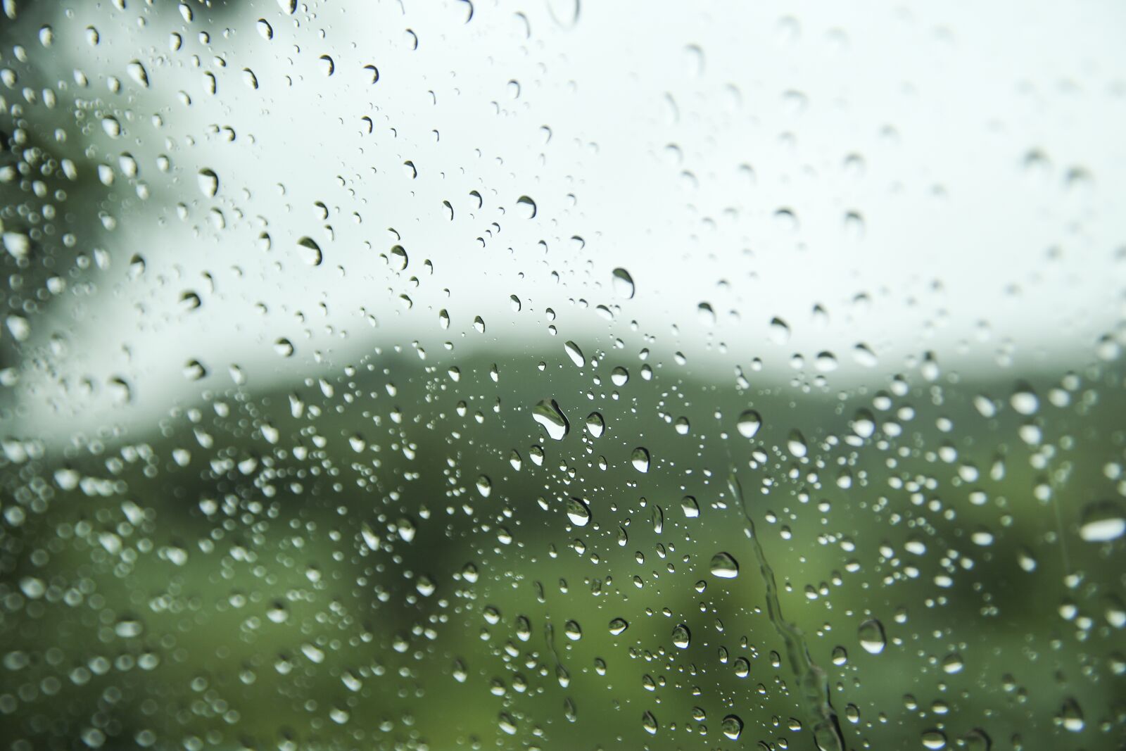 Canon EOS 6D sample photo. Nature, non, glass photography