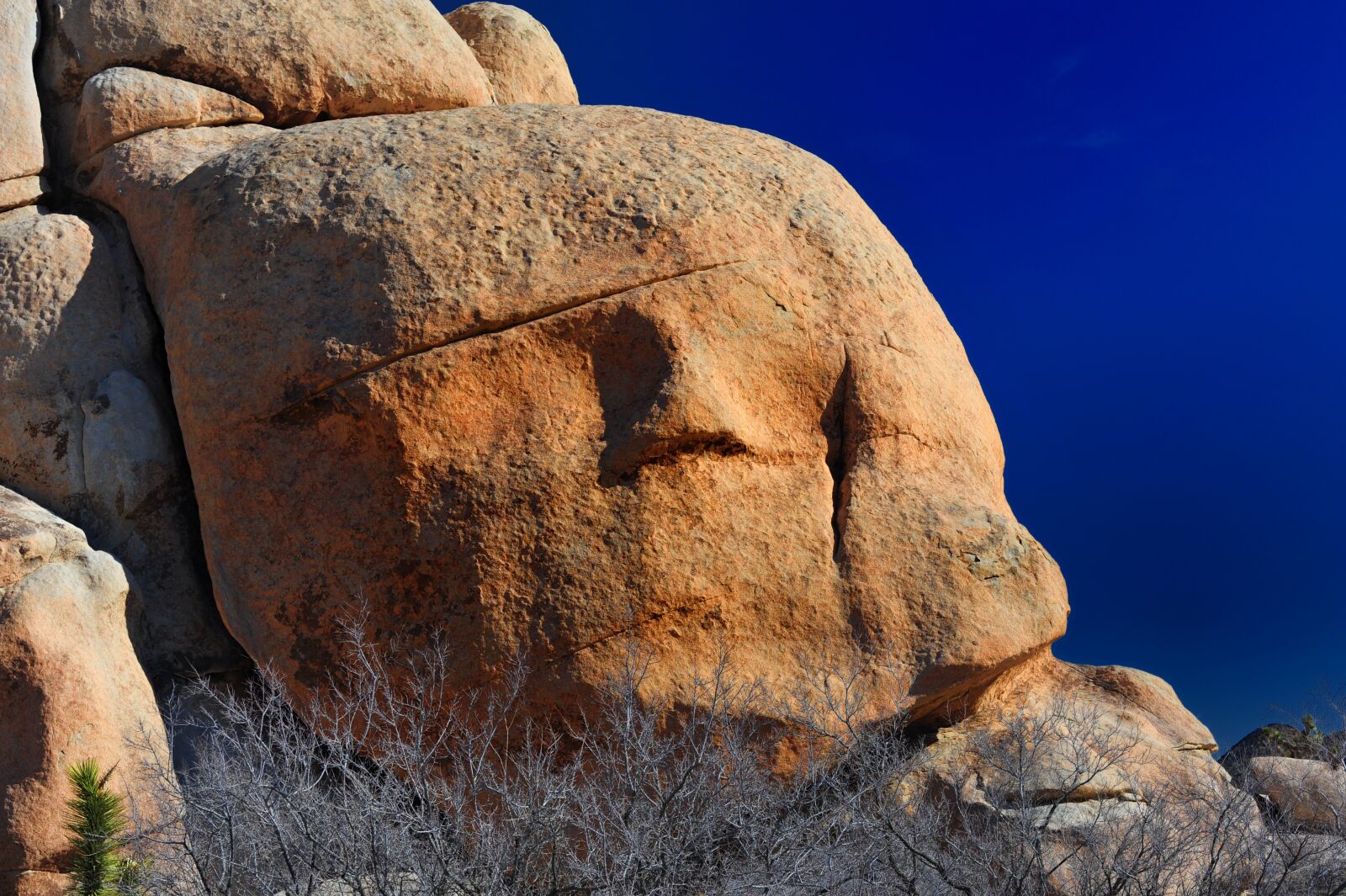 Nikon D700 sample photo. Rock, desert, nature photography