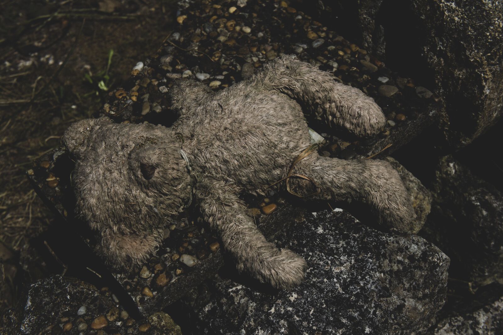 Sony Alpha NEX-3 sample photo. Bear plush, apocalypse, loss photography