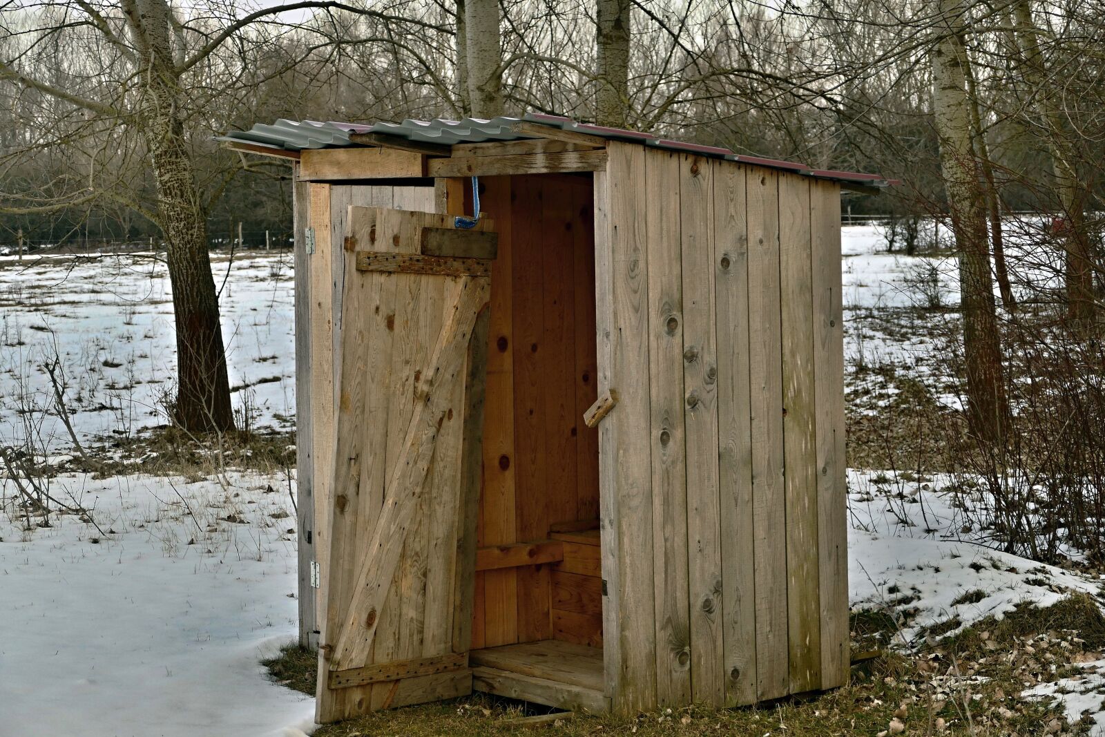 Panasonic Lumix DMC-FZ1000 sample photo. The toilet, outdoor, wooden photography