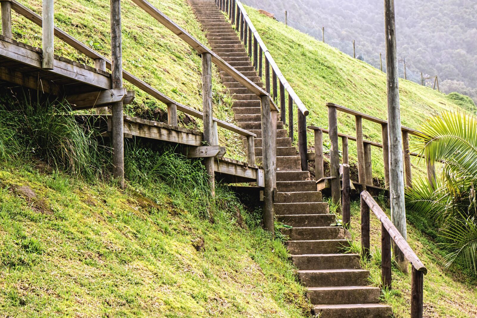Canon EOS 70D sample photo. Stairs, fence, wood, fiels photography