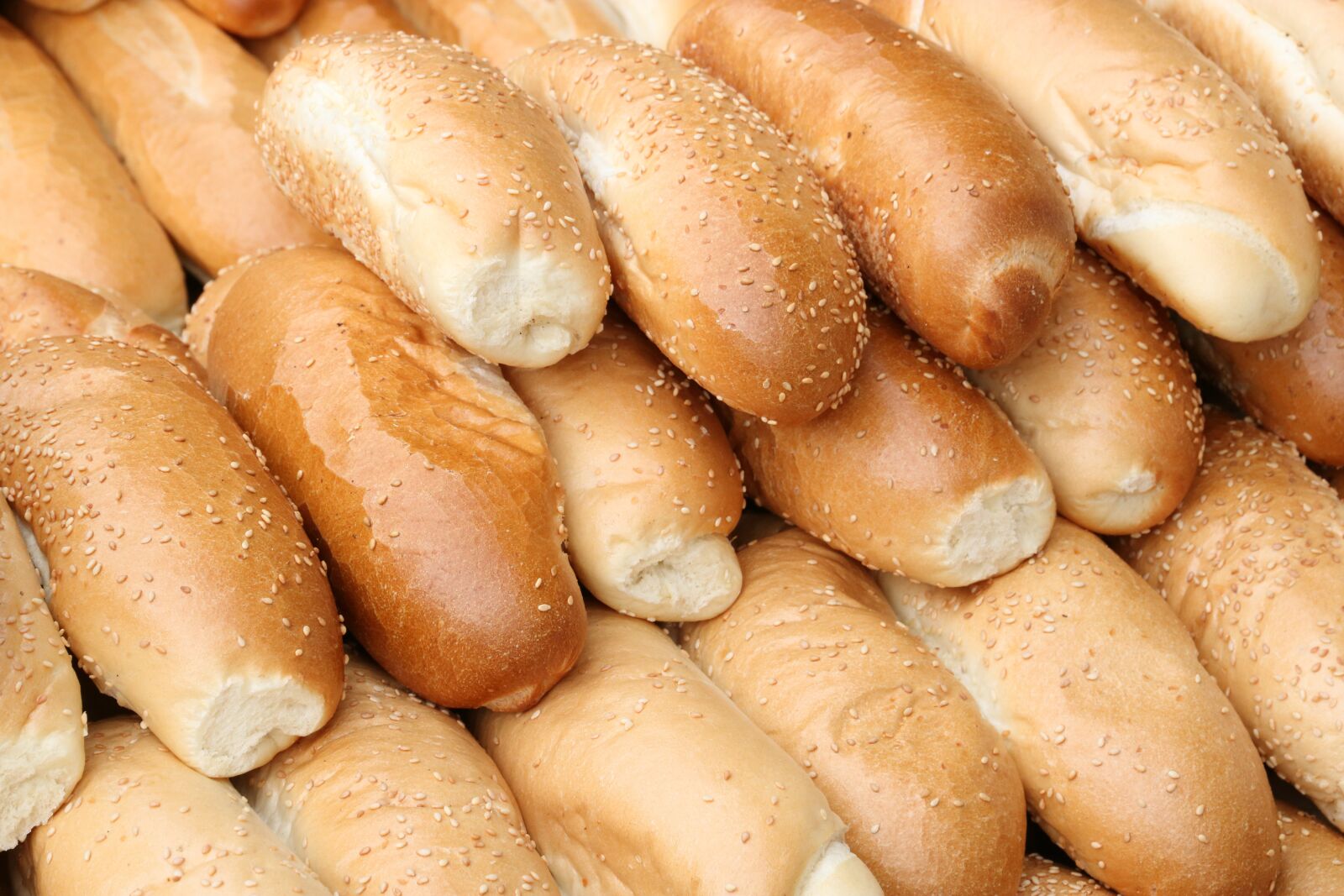 Canon EOS 750D (EOS Rebel T6i / EOS Kiss X8i) sample photo. Israel, jerusalem, bakery photography