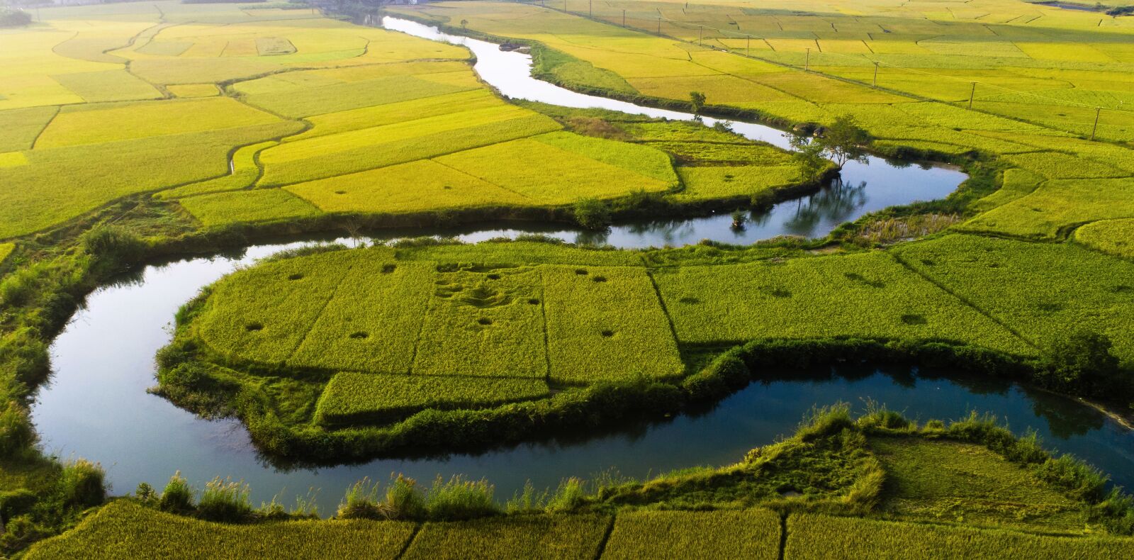 DJI FC6310 sample photo. Bacson, langson, brother photography