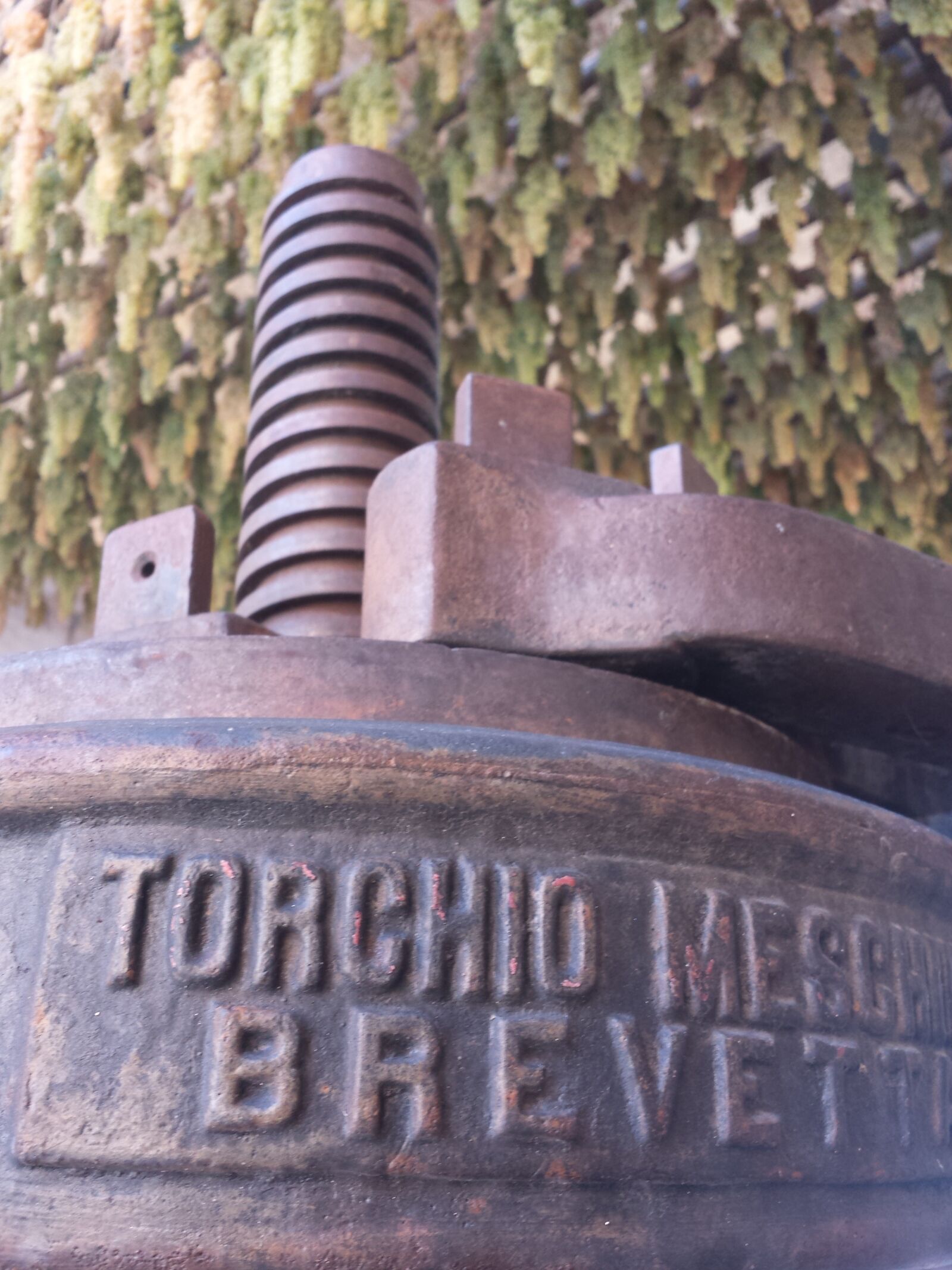 Samsung Galaxy S4 sample photo. Iron, old, grape press photography