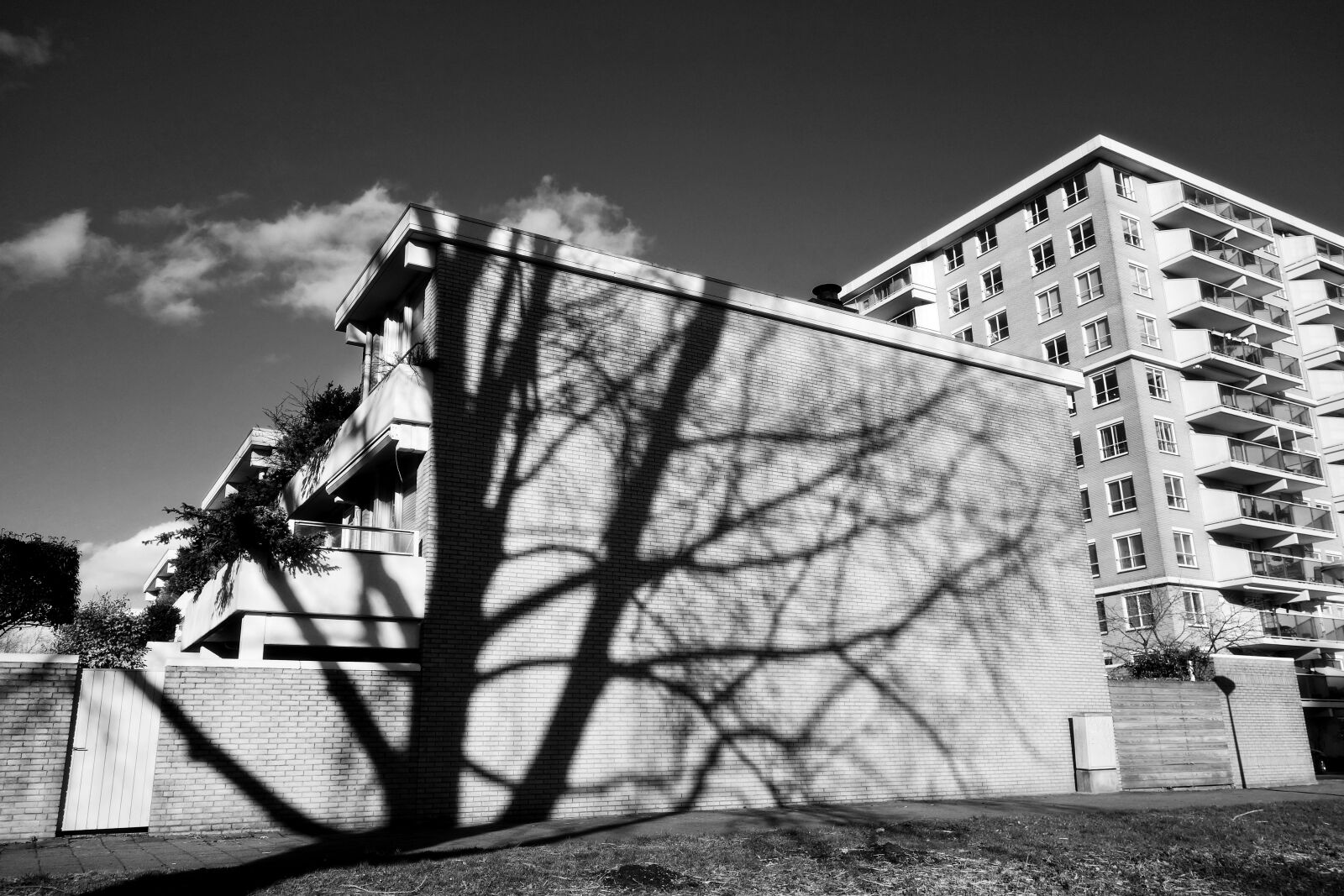 Sony Cyber-shot DSC-RX100 sample photo. Shadow, building, tree photography