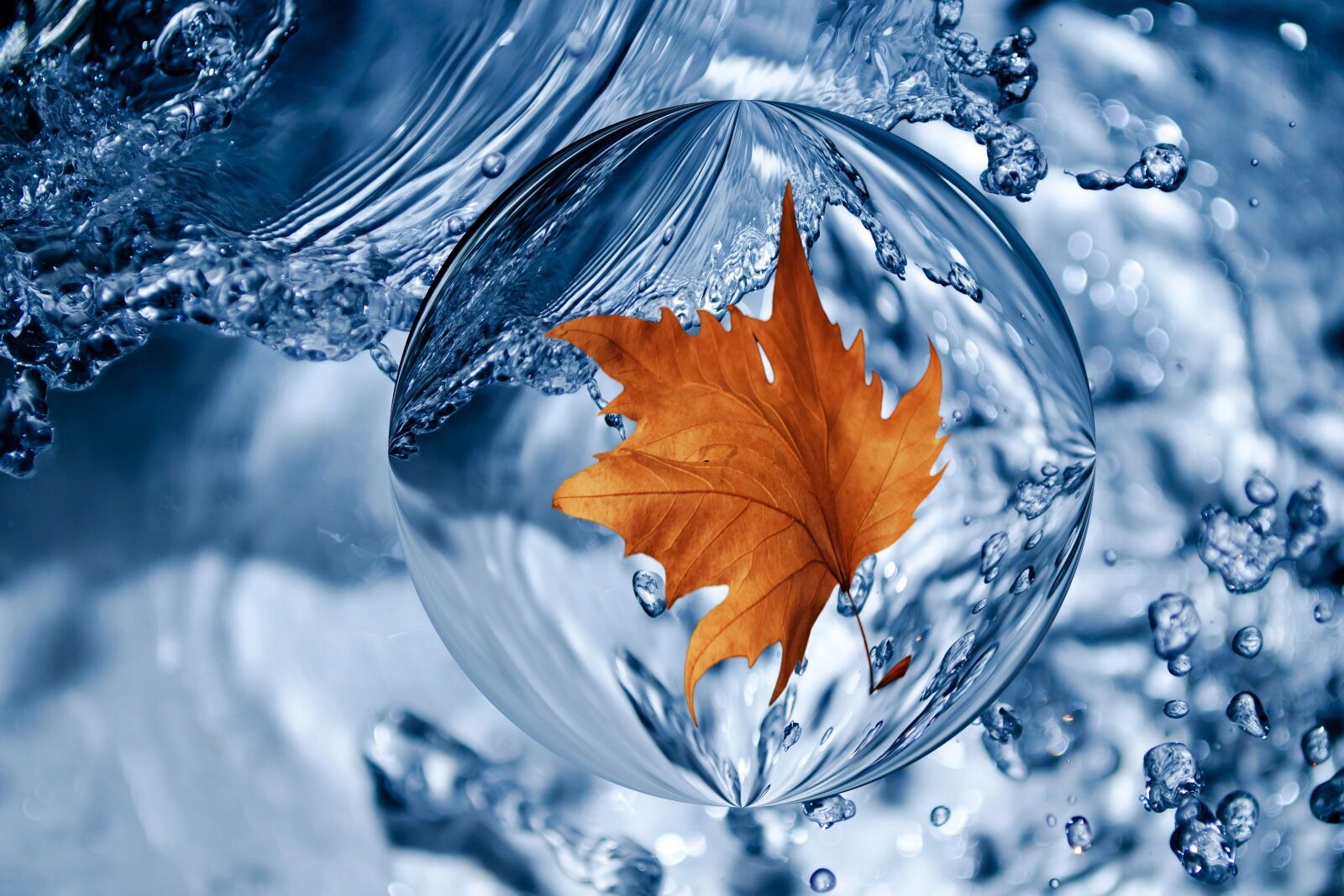 Nikon D5100 sample photo. Water, leaf, spray photography