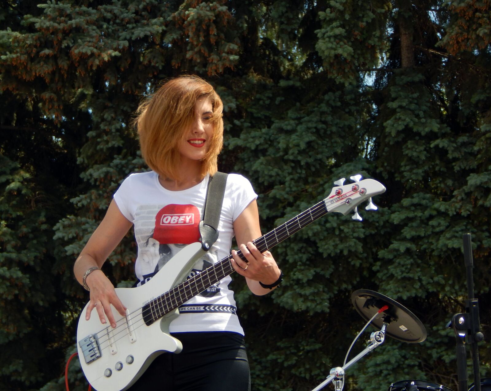 Nikon Coolpix L830 sample photo. Guitar, electric guitar, bas-guitar photography