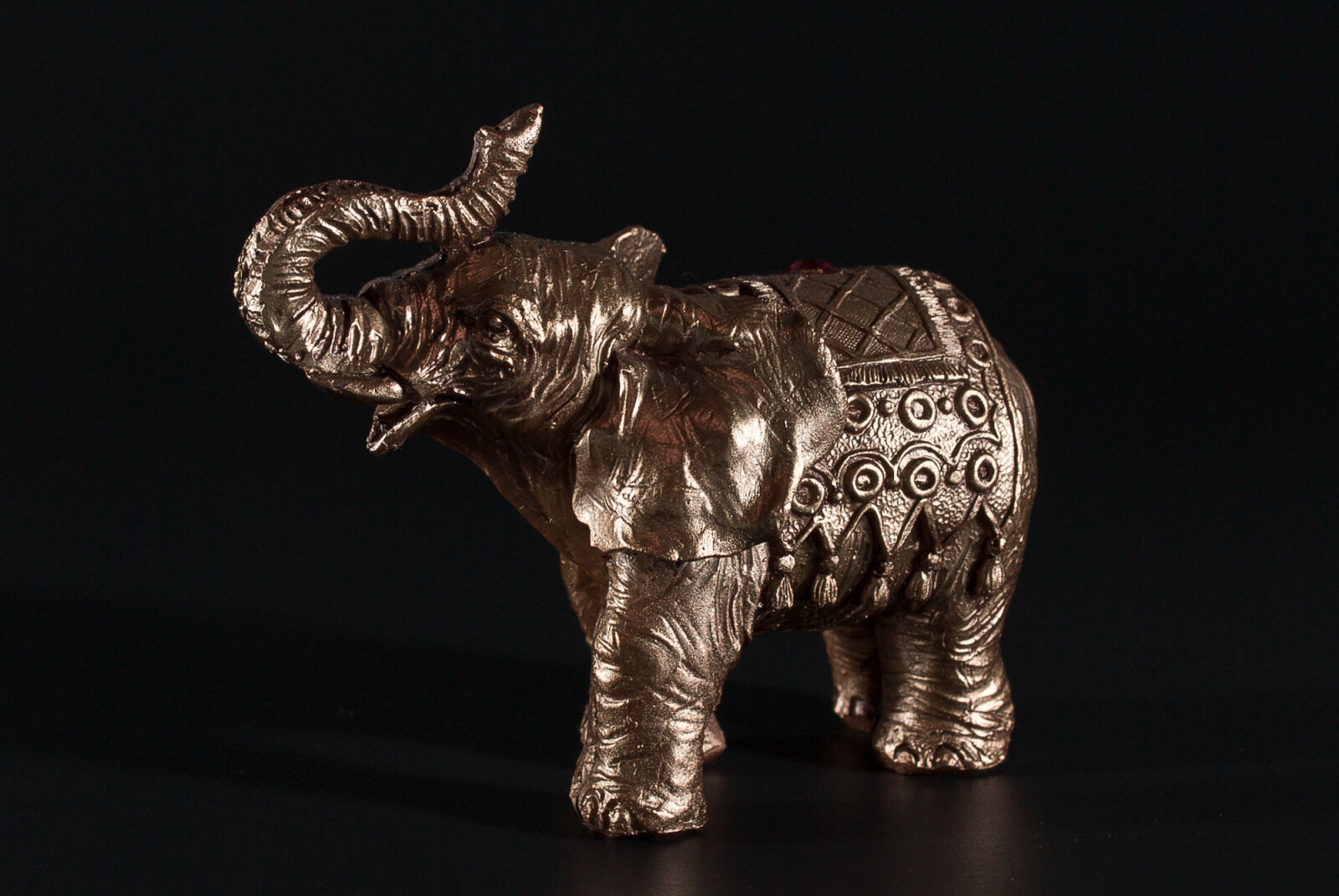 Nikon D200 sample photo. Elephant photography