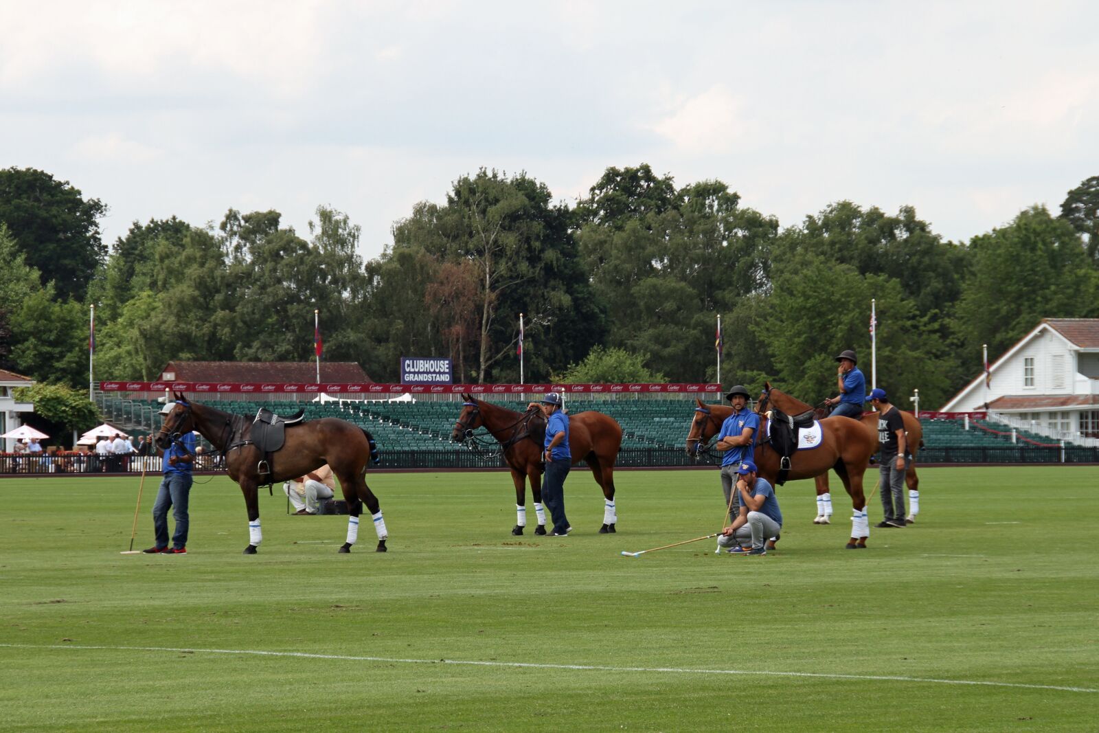 Canon EOS 7D sample photo. Polo, petiseros, horses photography