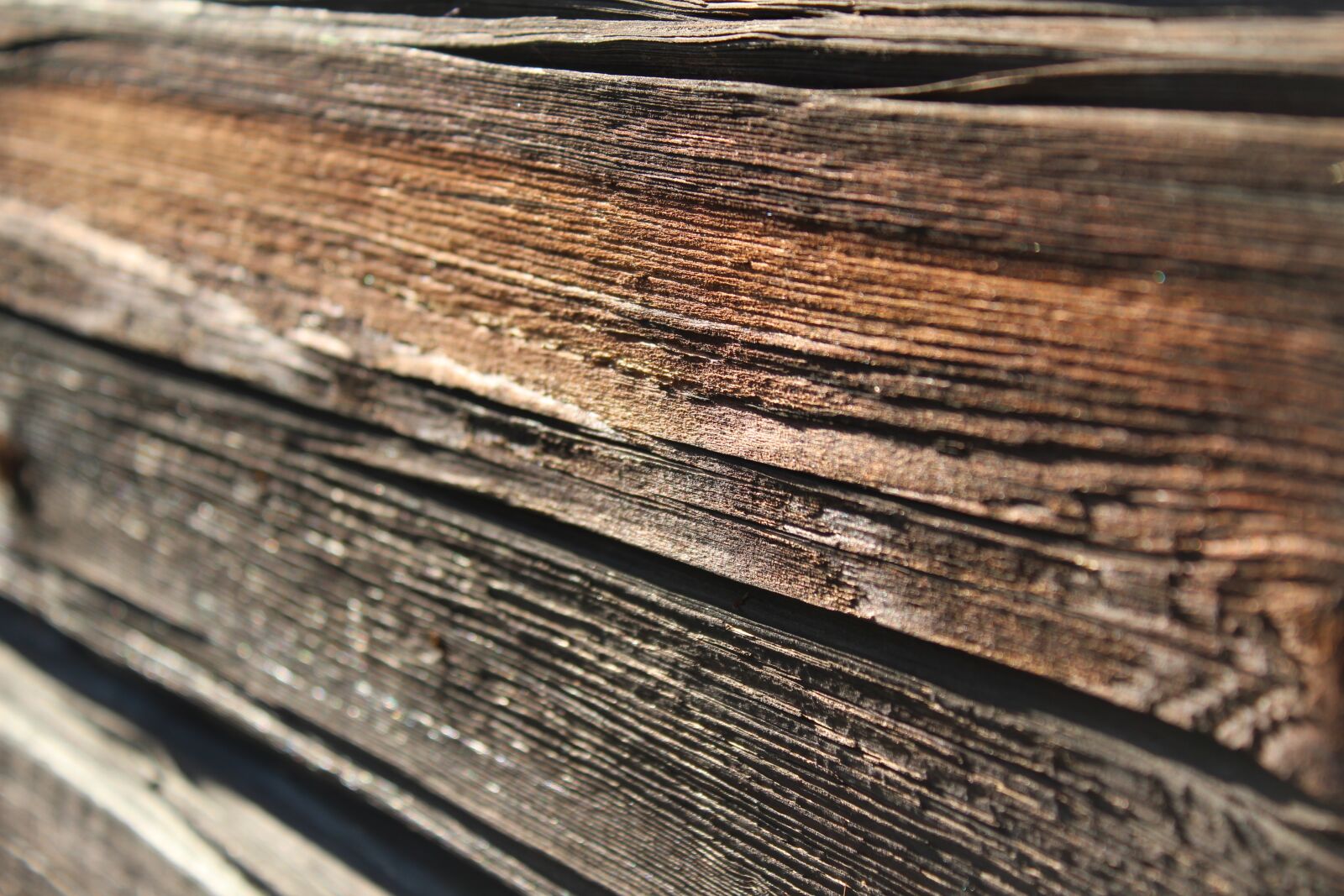 Canon EOS 1300D (EOS Rebel T6 / EOS Kiss X80) sample photo. The background, old wood photography