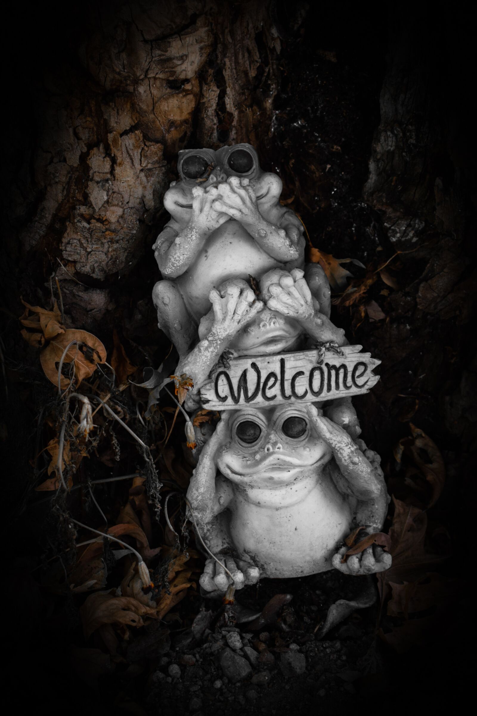 Nikon D3300 sample photo. Frogs, funny, welcome photography