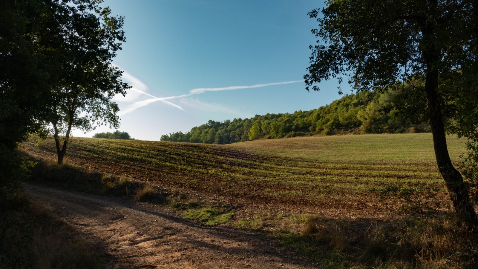 Panasonic Lumix DMC-FZ1000 sample photo. Path, sky, landscape photography