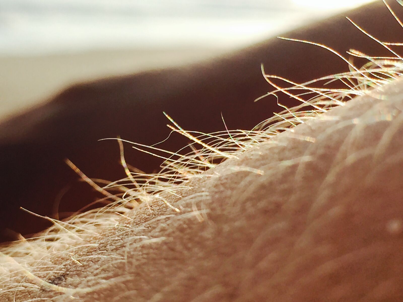 Apple iPhone 6 sample photo. Sunshine, hairy, excited, skin photography