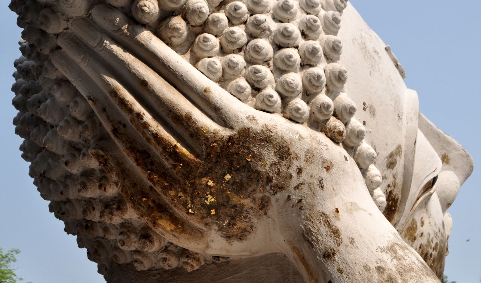 Nikon D5000 sample photo. Buddha, gold, ayutthaya photography