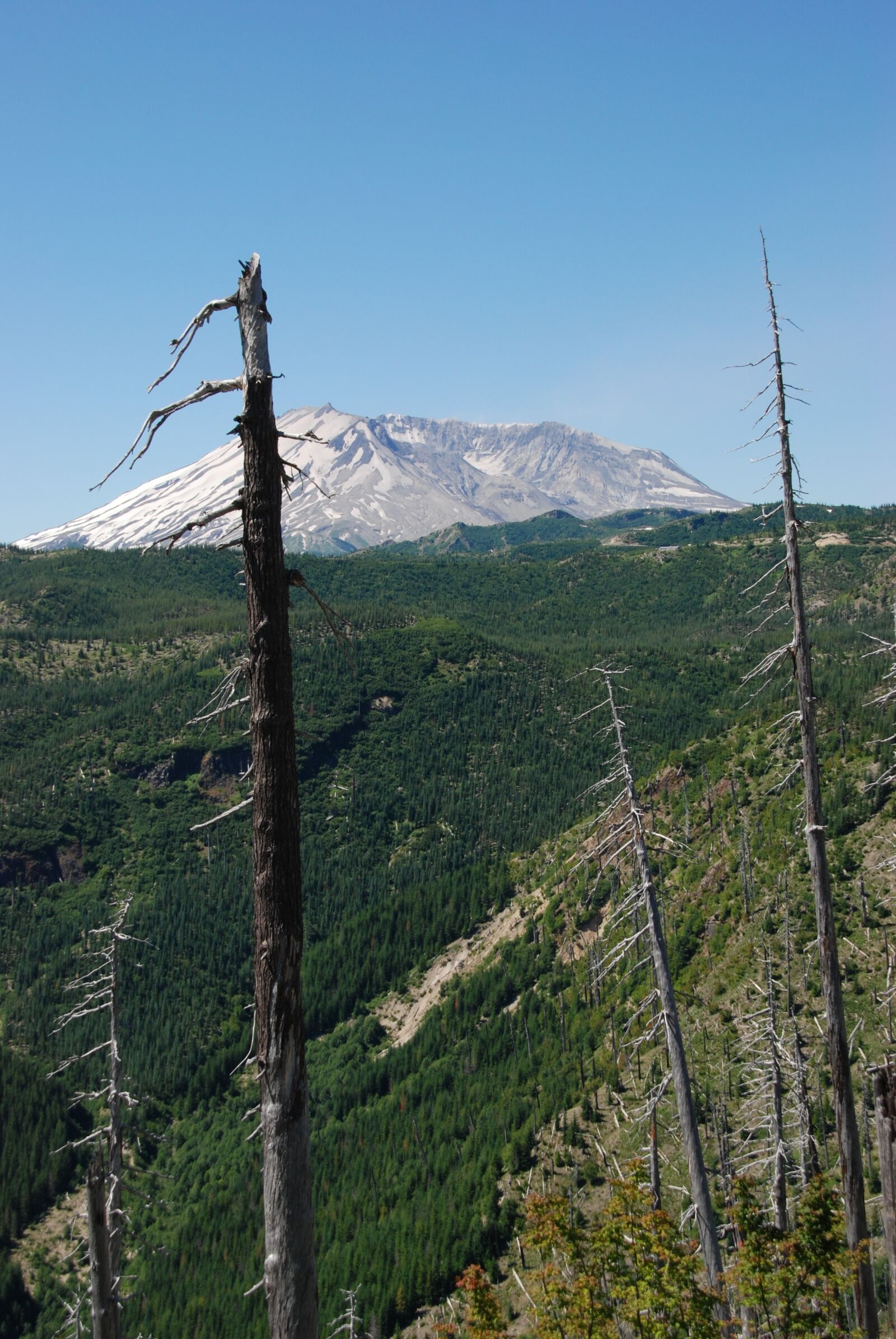 Nikon D80 sample photo. Volcano, eruption, mount saint photography