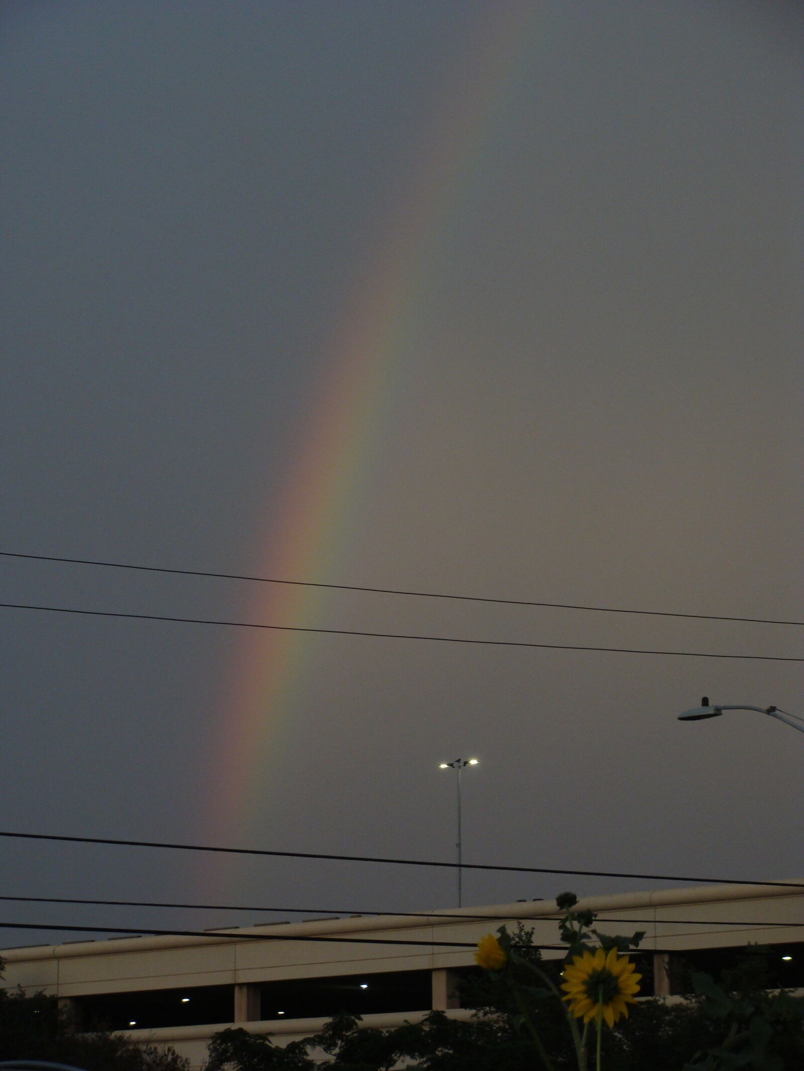 Sony Cyber-shot DSC-H10 sample photo