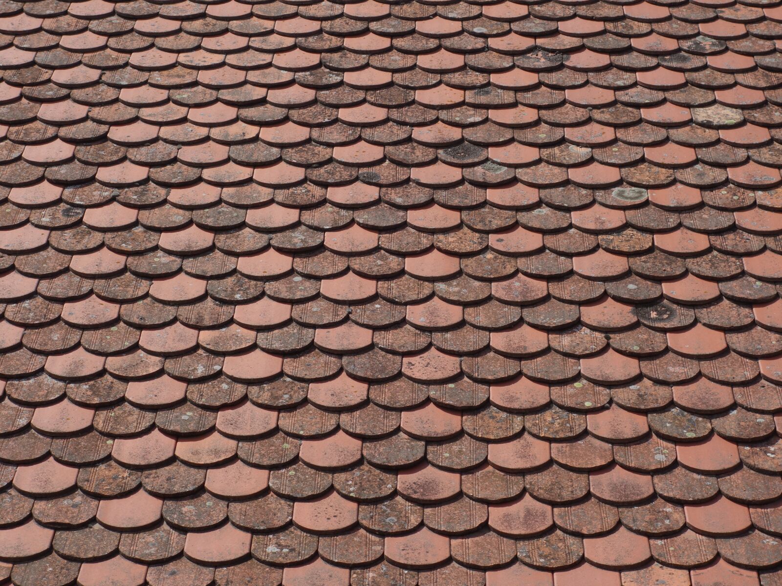 Sony Cyber-shot DSC-RX100 II sample photo. Tile, housetop, brick photography