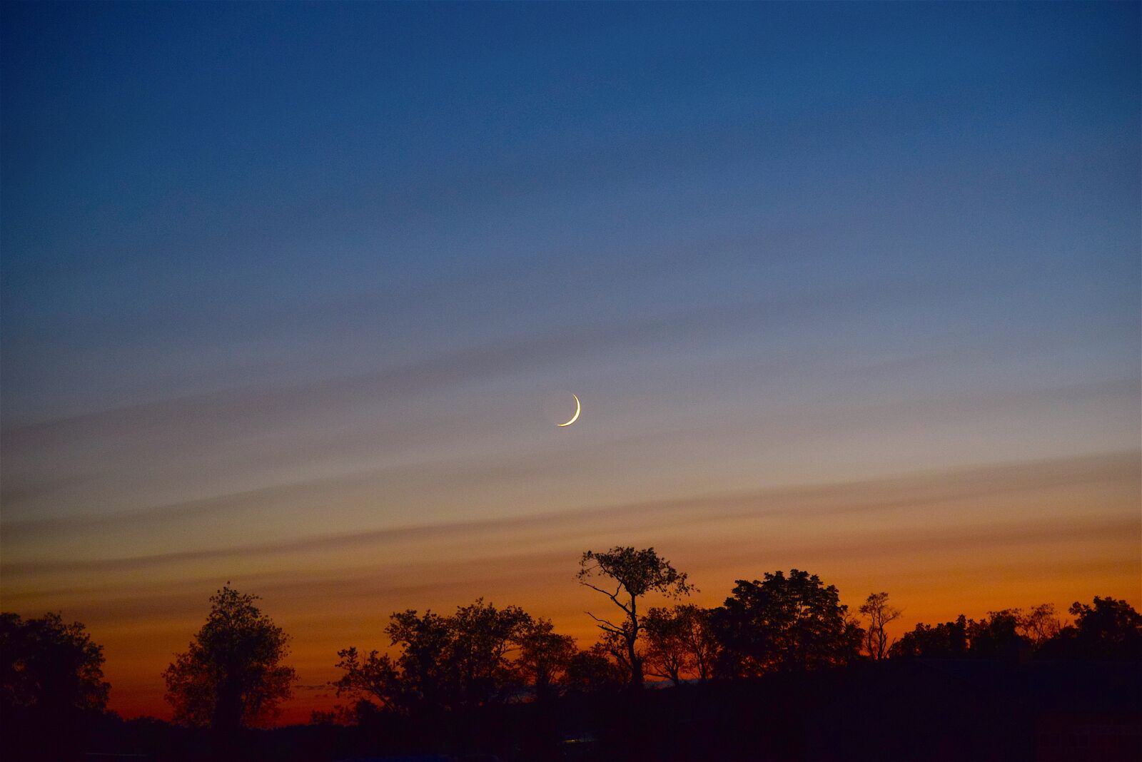 Nikon D3300 sample photo. Moon, sky, crescent photography