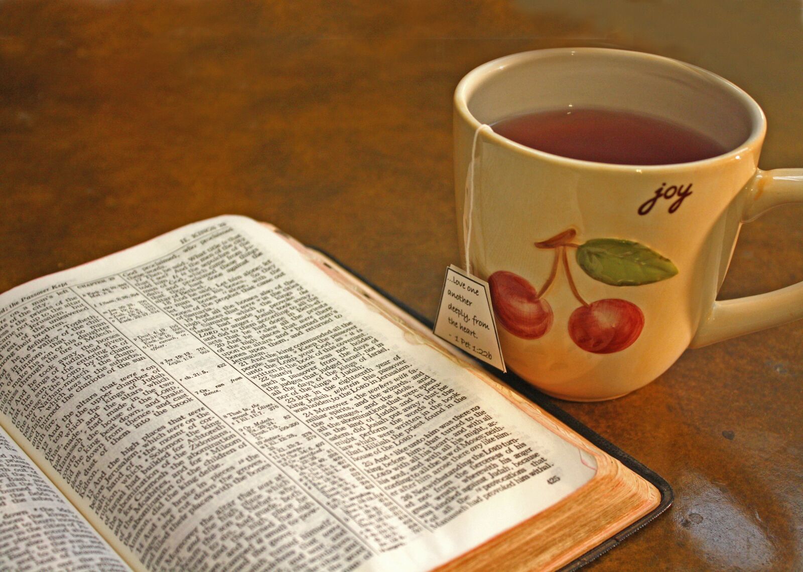 Canon EOS 1000D (EOS Digital Rebel XS / EOS Kiss F) sample photo. Bible, scripture, devotion photography