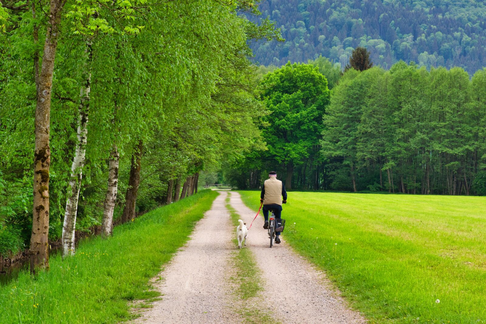Nikon D7100 sample photo. Cyclists, away, cycling photography