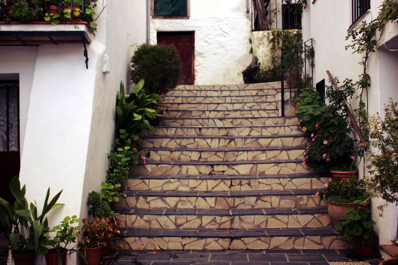 Canon EOS 600D (Rebel EOS T3i / EOS Kiss X5) sample photo. Benalauria, nature, andalusia photography