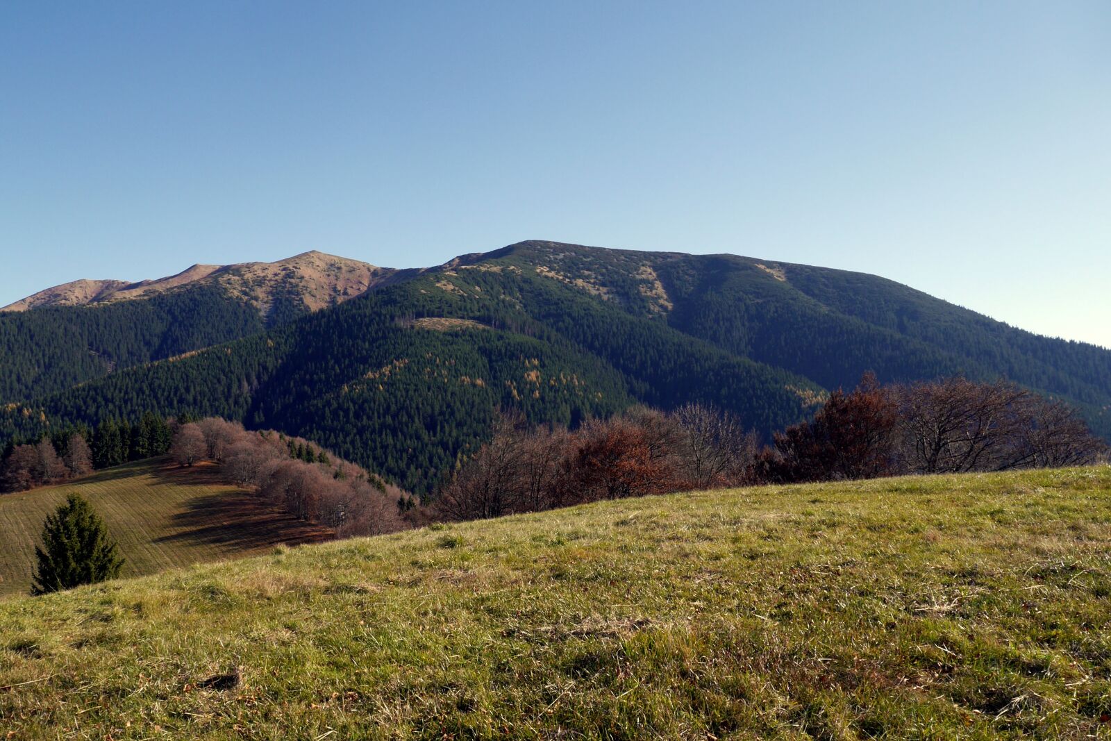 Panasonic Lumix DMC-G6 sample photo. Mangy, slovakia, mountains photography