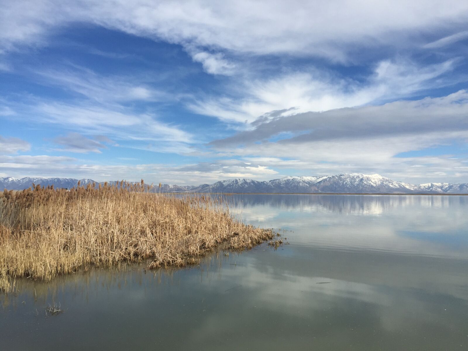 iPhone 6 back camera 4.15mm f/2.2 sample photo. Bird refuge, water, clouds photography